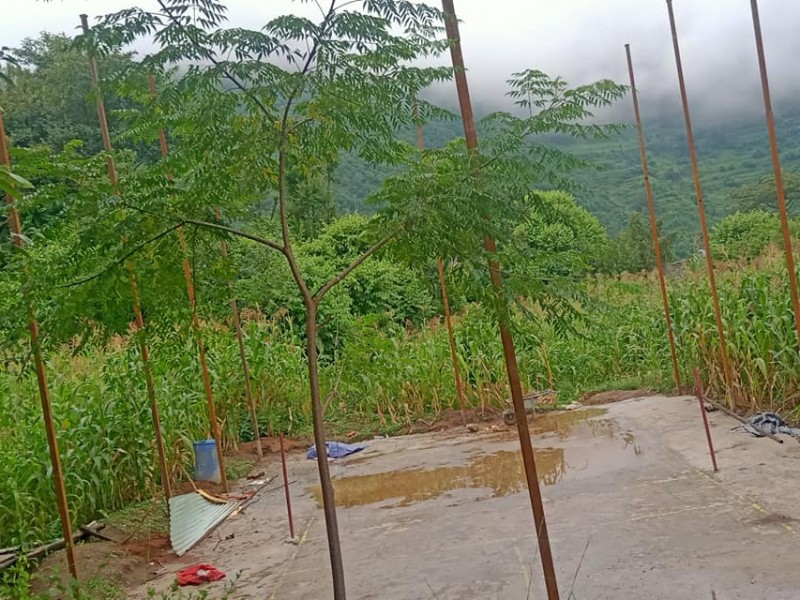 व्यक्तिगत लगानीमा कभर्ड बनाउँदै दाहाल